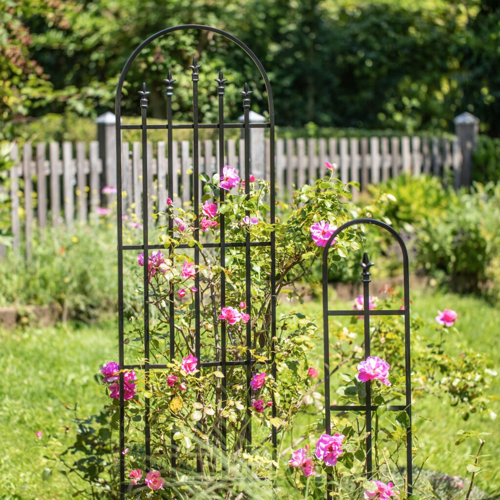 Wrought Iron Garden Trellis