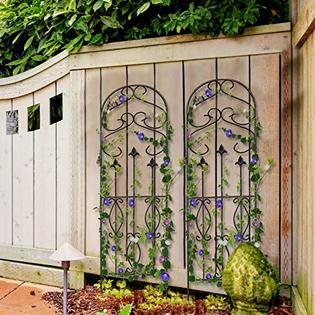 Wrought Iron Garden Trellis